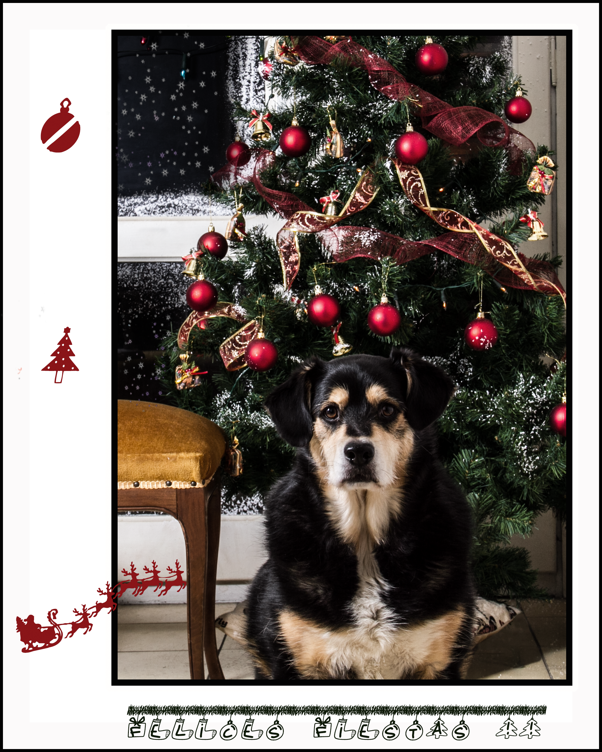 jack-navidad-2016-web